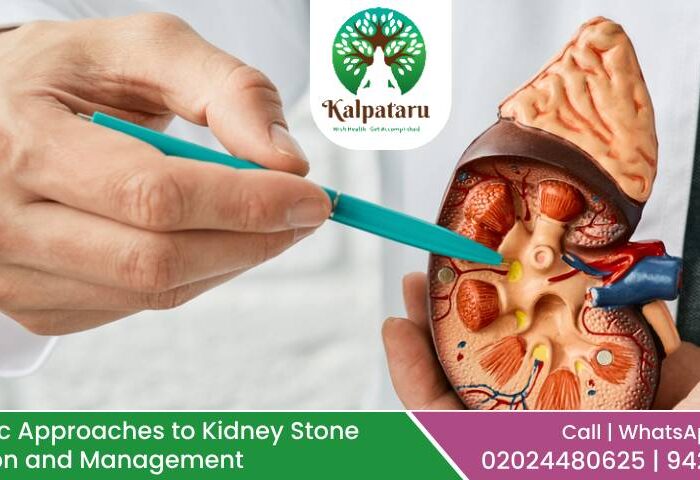 Kidney Stone Prevention