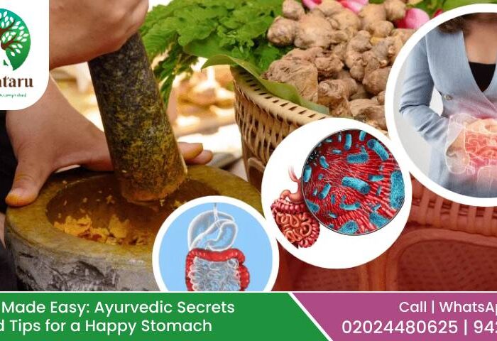 IBS Made Easy: Ayurvedic Secrets and Tips for a Happy Stomach